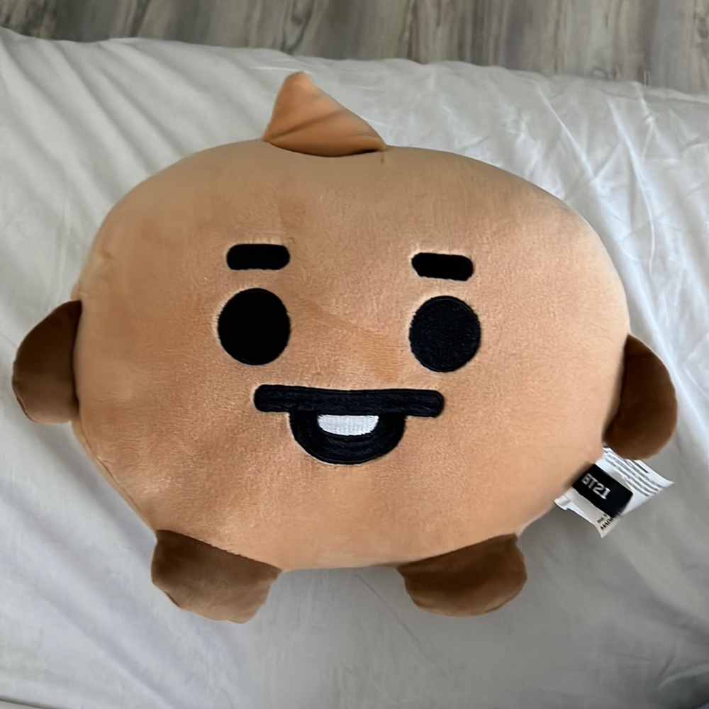 BT21 Shooky hug me cushion